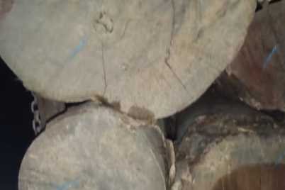 1000525115.jpg