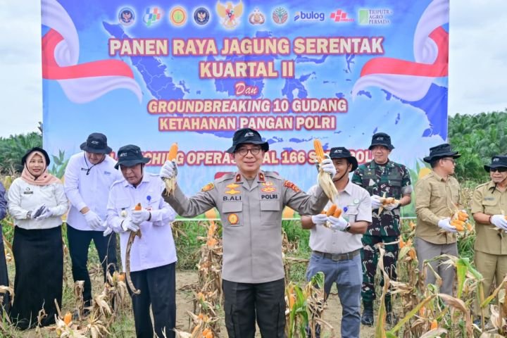 1001742692.jpg