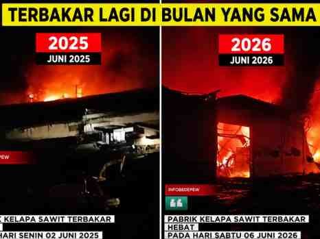 Setahun Berlalu, PT Budi Nabati Perkasa Talang Duku Kembali Terbakar pada Bulan yang Sama