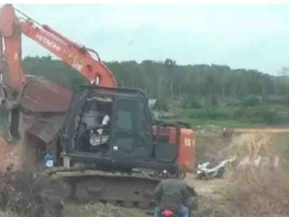 Konflik Lahan PT Rimba Hutani Mas Memanas, Kelompok Tani Laporkan Dugaan Persoalan ke DPR RI