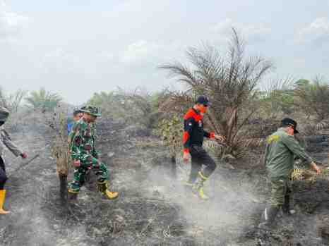 Kapolda Jambi Pastikan Penanganan Karhutla di Sungai Gelam Terus Dilakukan, Sinergi TNI-Polri dan BPBD Diperkuat
