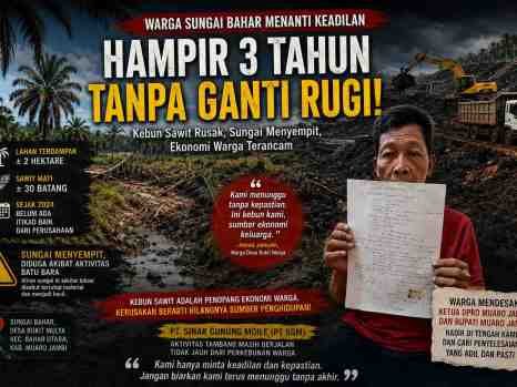 Hampir Tiga Tahun Menanti Ganti Rugi, Kebun Sawit Warga Diduga Terdampak Aktivitas Tambang PT SGM