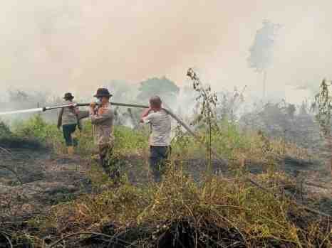 Tim Gabungan Padamkan Karhutla di Kumpeh Ulu, 10 Hektare Lahan Berhasil Dipadamkan