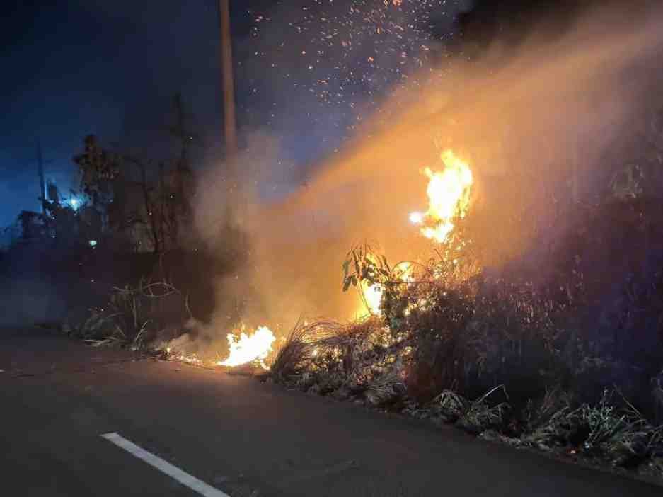 Personel Batalyon A Pelopor Satbrimob Polda Jambi Padamkan Karhutla di Sungai Bertam