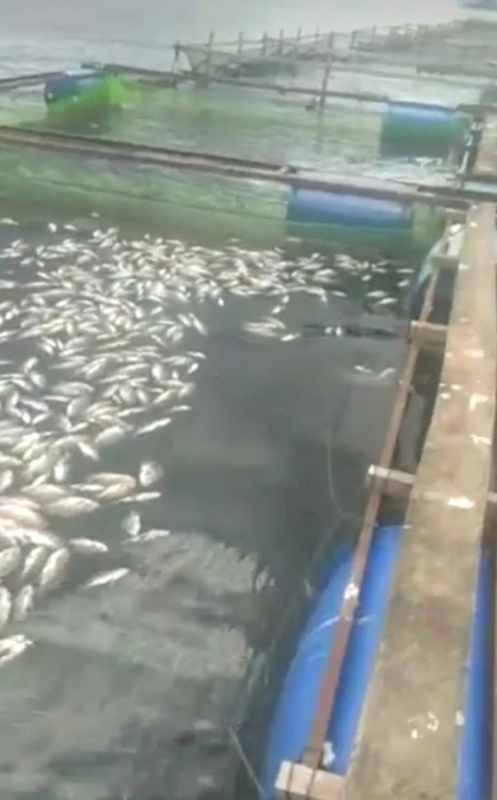 IMG-20210202-WA0159.jpg