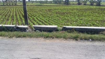 IMG-20210826-WA0035.jpg
