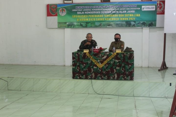IMG-20211118-WA0067.jpg