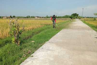 IMG-20240317-WA0013.jpg