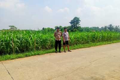 IMG-20260506-WA0105.jpg