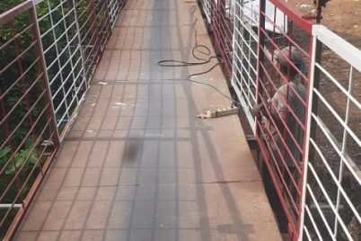 IMG-20260512-WA0101.jpg