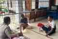 IMG-20260516-WA0175.jpg