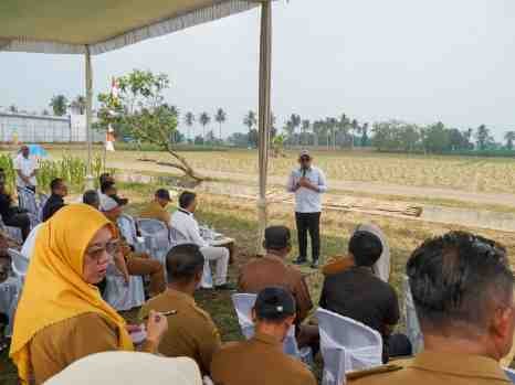 Lampung Dorong Investasi Energi Hijau, Proyek Bioetanol Siap Dikembangkan