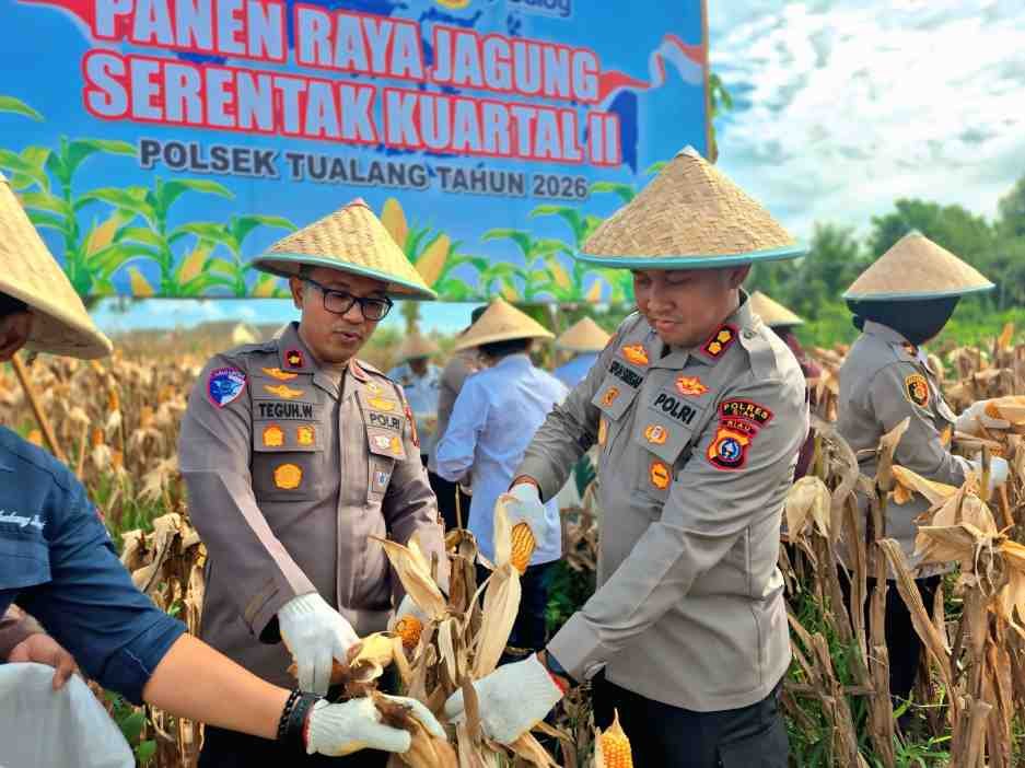 Dukung Asta Cita Menuju Swasembada Pangan,Polres Siak Kembali Menggelar Panen Raya Jagung Kwartal II Tahun 2026