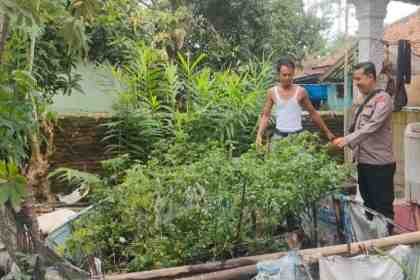 IMG-20260617-WA0107.jpg