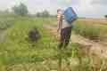 IMG-20260627-WA0175.jpg