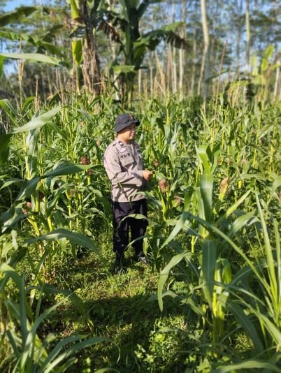 IMG-20260628-WA0168.jpg