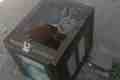 IMG-20260719-WA0064.jpg