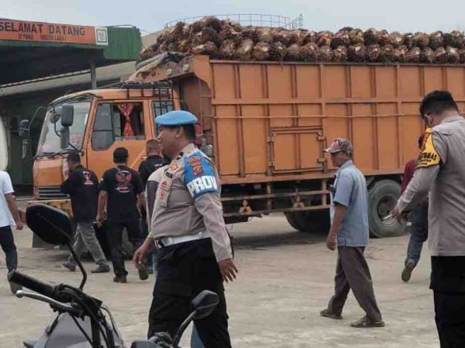 Tolak Buah Tak Sesuai Standar, Operasional PMKS PT HSJ Sempat Lumpuh Dipalang Truk Toke Sawit