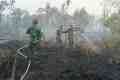 IMG-20260823-WA0024.jpg