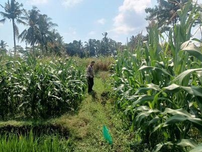 IMG-20260830-WA0133.jpg