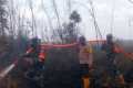 IMG-20260902-WA0020.jpg