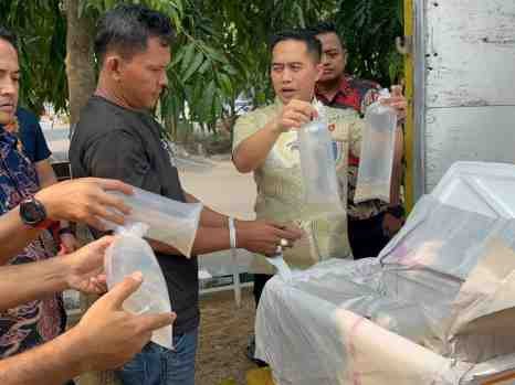Polda Banten Gagalkan Pengiriman 150 Ribu Benih Bening Lobster, Satu Truk Diamankan