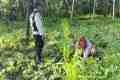 IMG-20260913-WA0095.jpg
