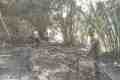 IMG-20260916-WA0008.jpg