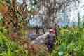 IMG-20260920-WA0025.jpg