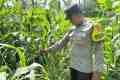 IMG-20261004-WA0023.jpg