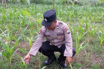 IMG-20261006-WA0088.jpg