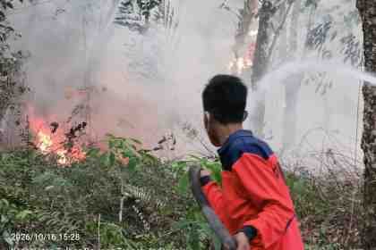 IMG-20261017-WA0031.jpg