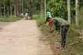 IMG-20261017-WA0097.jpg