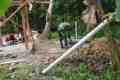IMG-20261017-WA0101.jpg