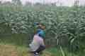 IMG-20261018-WA0026.jpg