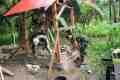 IMG-20261022-WA0018.jpg