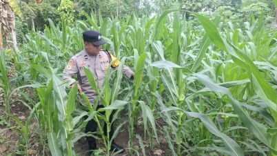 IMG-20261022-WA0034.jpg