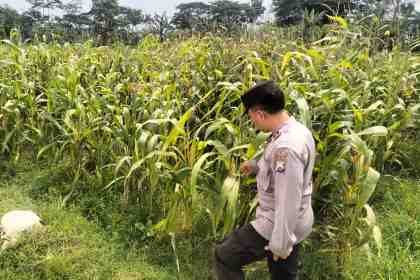 IMG-20261025-WA0035.jpg