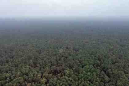 IMG-20261028-WA0058.jpg