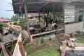IMG-20261028-WA0065.jpg