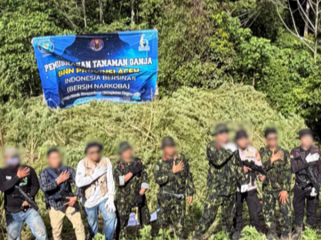 JELANG HUT KE-81 RI, BNN JAGA BANGSA DARI NARKOTIKA DENGAN MEMUSNAHKAN 12 HEKTARE LAHAN GANJA
