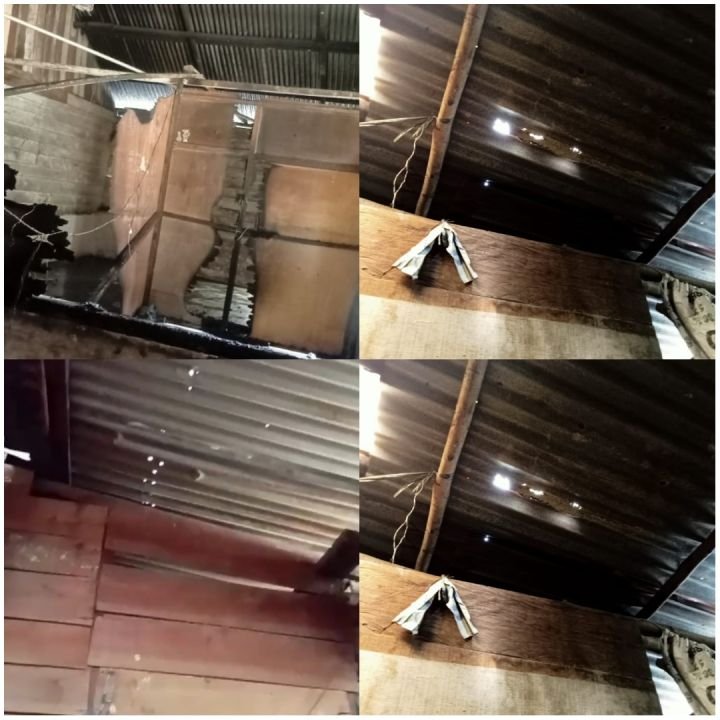 PhotoCollage_1699116748522.jpg