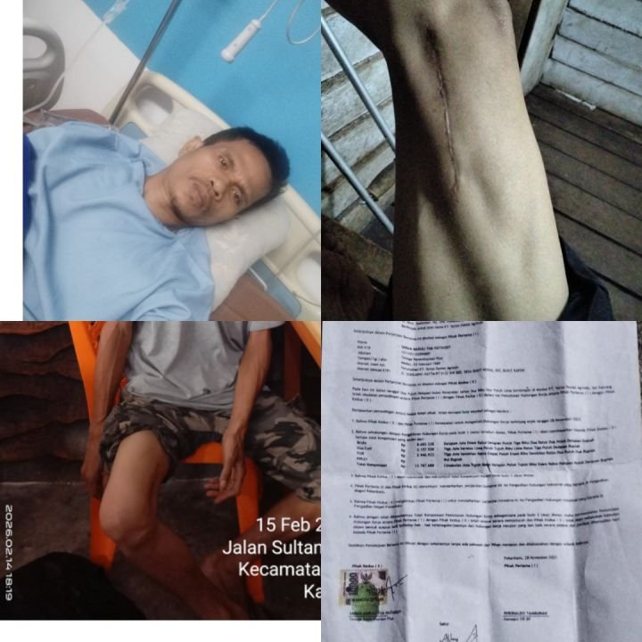 PhotoCollage_1771463106710.jpg