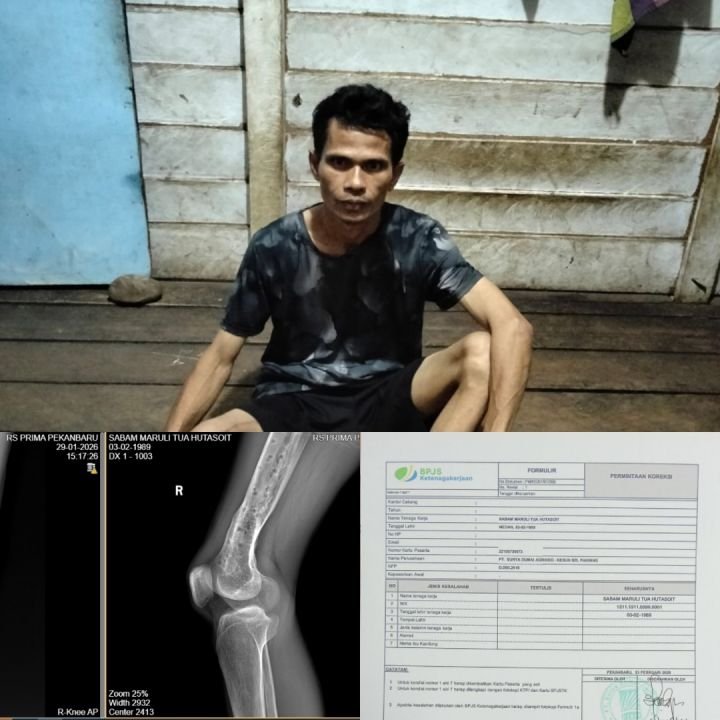PhotoCollage_1772003726862.jpg