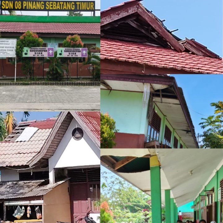 PhotoCollage_1780734917411.jpg