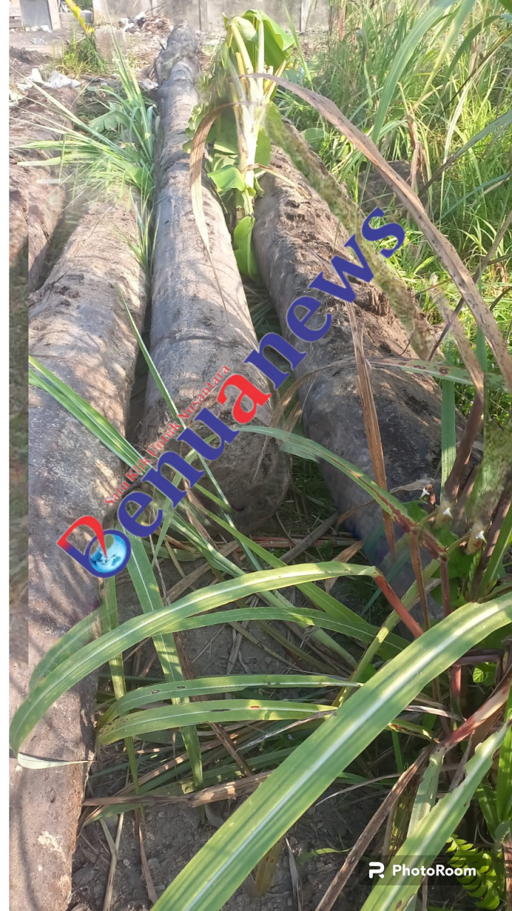 PhotoRoom-20231118_080618-1.png