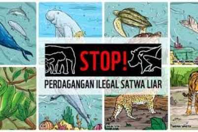 Satwa-Ilustrasi.jpg