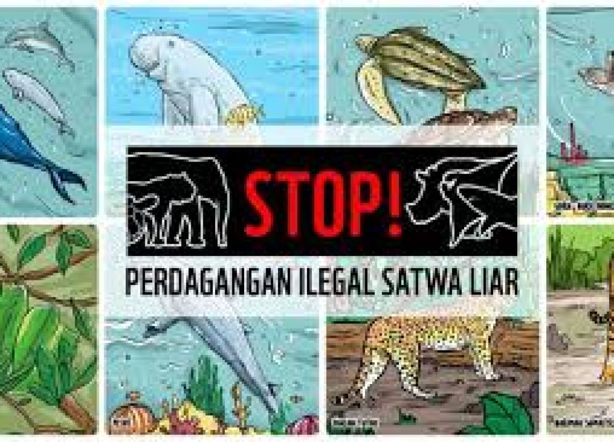 Satwa-Ilustrasi.jpg