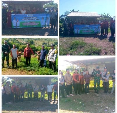 Screenshot_20240515-1441562.jpg