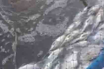 Screenshot_20260602_185744.jpg